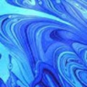 Meet your Posher, Allie